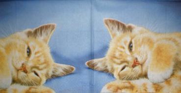 049 Katzen - 3-lagig - Colourful Life